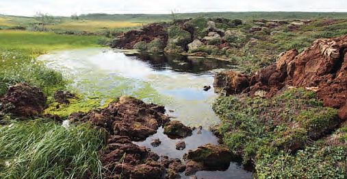 Thermo-karst prosesser i et landskap med permafrost, Nord-Norge.