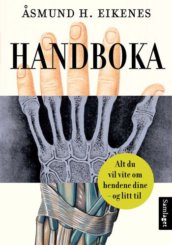 hånd ,hanske ,produkt ,sports utstyr ,gest.