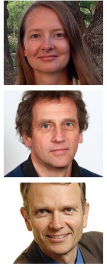 person ,panne ,nese ,hår ,kinn.
