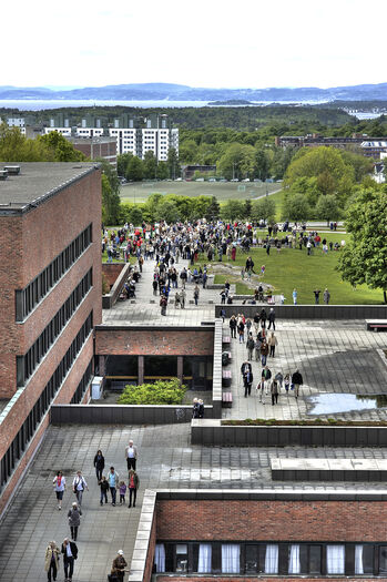 anlegg ,himmel ,bygning ,urbant design ,arkitektur.