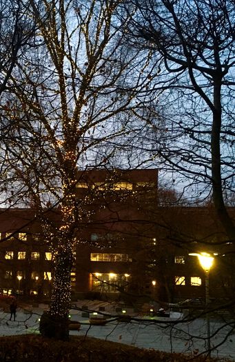 bygning ,himmel ,anlegg ,vindu ,gatelykt.