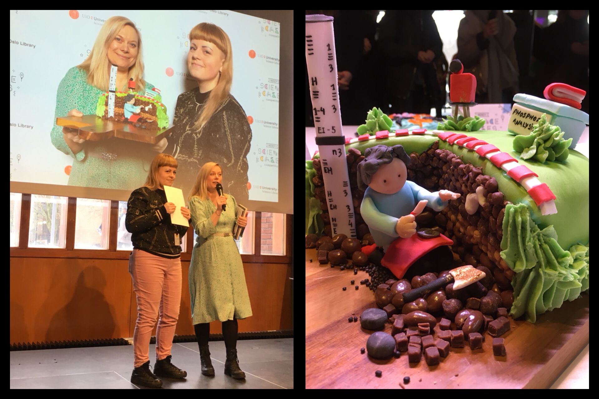 Nerdy Science Cakes 2019
