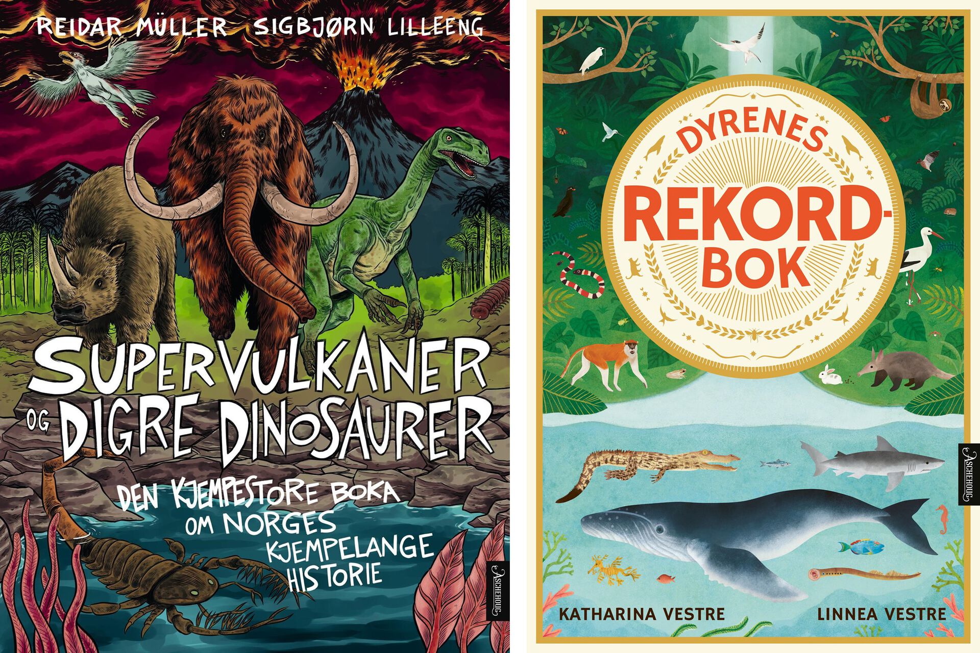 bilde av bokomslag