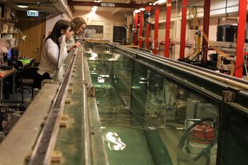 engineering ,bygning ,maskin ,glass ,elektrisitet.