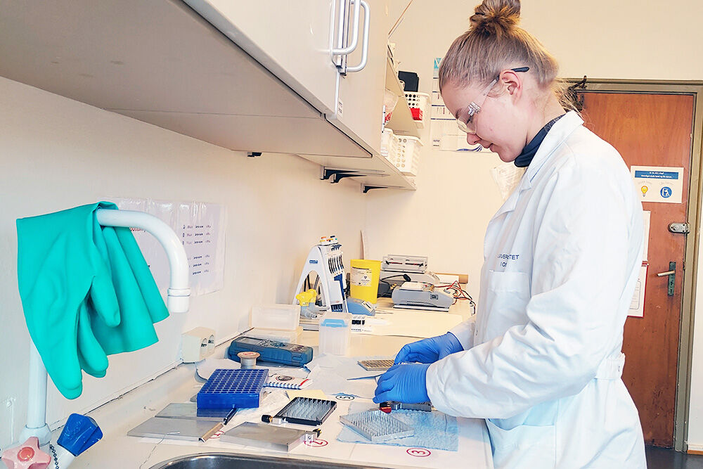 Maria Schüller arbeider ved benk i laboratoriet