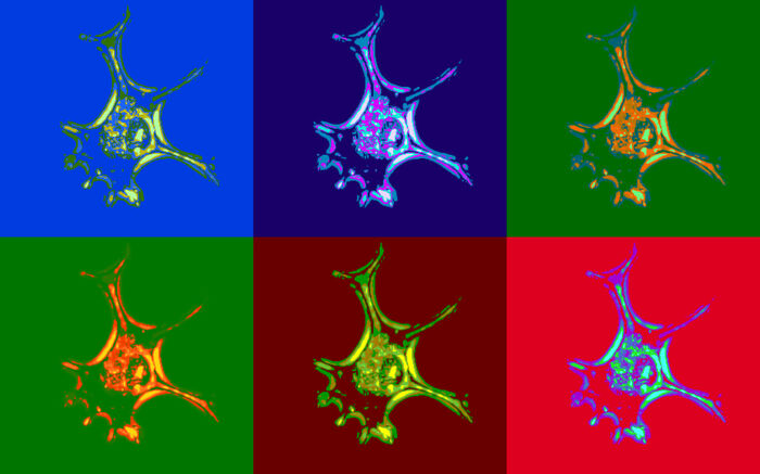 Versjonar av eit mikroskopbilete av neuron, fargelagt i ulike fargar og lagt ved sida av kvarandre