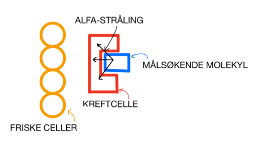 Thoriumstafetten viser hvordan Thorium desintegrerer over tid.