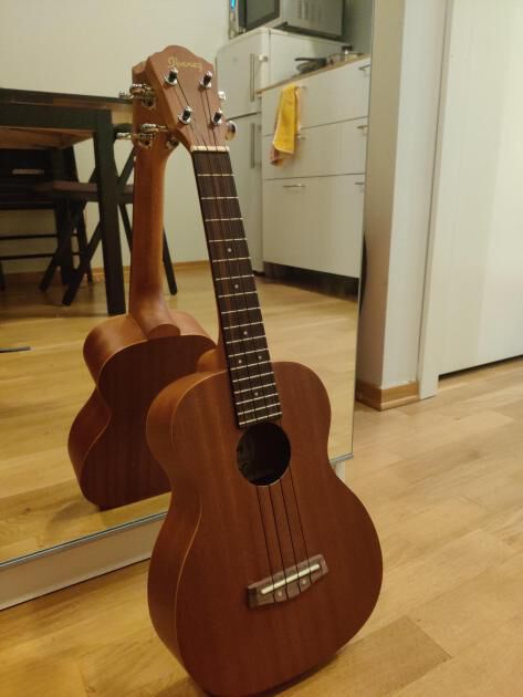 Ukulele