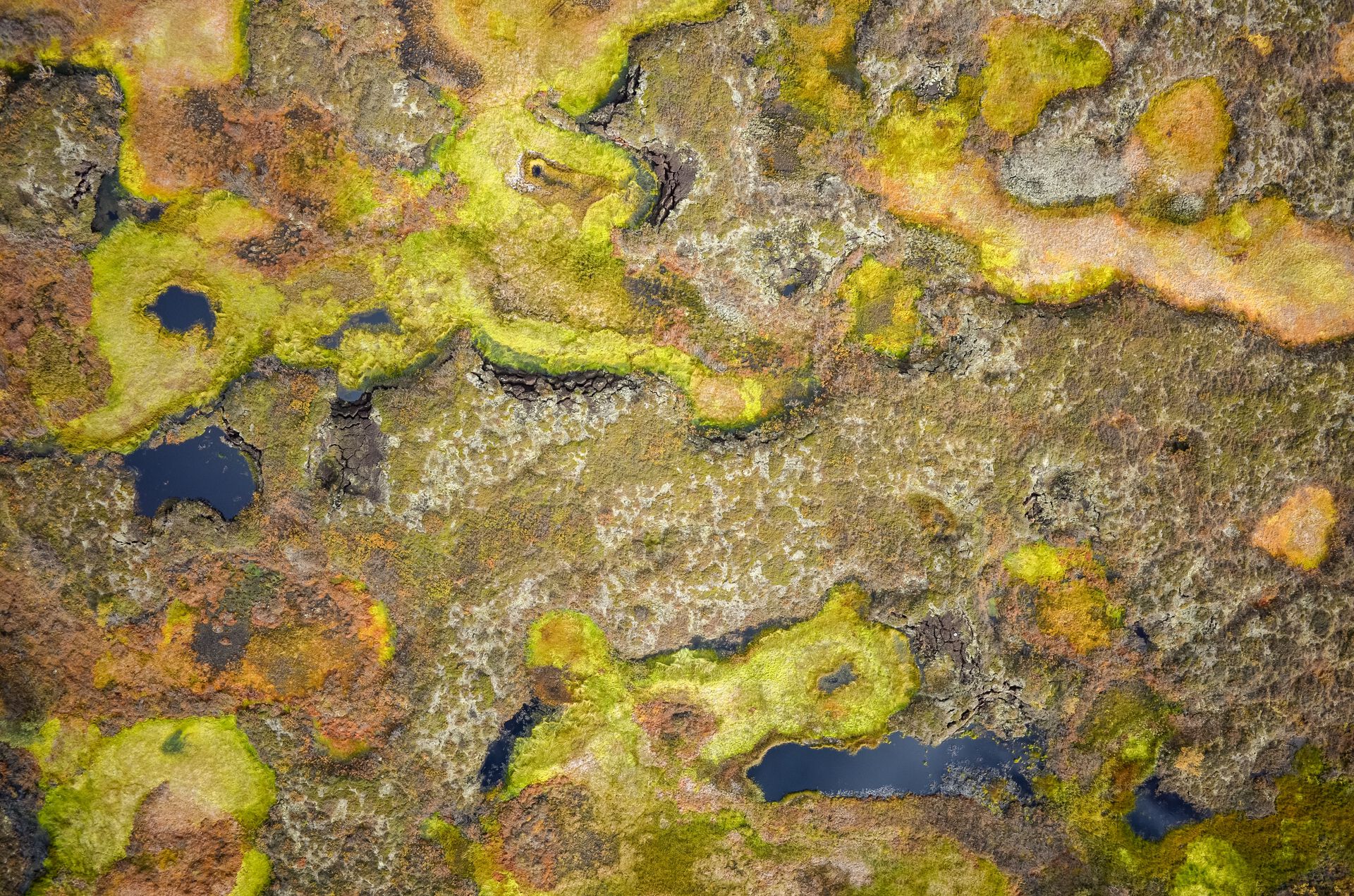 permafrost, palsmyr