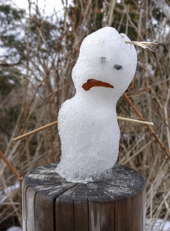 snømann ,snø ,tre ,tre ,fryser.