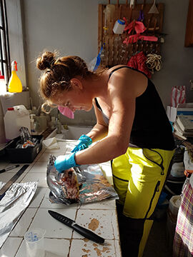 kunst ,bord ,maling ,matlaging ,kjøkkenredskap.