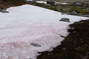 snø ,anlegg ,vassdrag ,berggrunn ,skråningen.