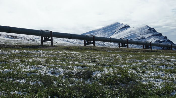 Eksempel på infrastruktur som er fundamentert på permafrost. Et rørsystem for transport av olje i Alaskas villmark. Foto: Moritz Langer/AWI