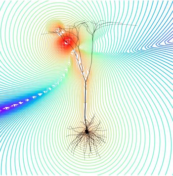 Light ,Organism ,People in nature ,Electricity ,Line.