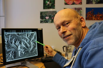 Picture frame ,Computer ,Organism ,Artist ,Art.