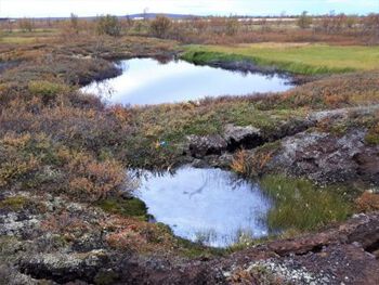 Water ,Plant ,Water resources ,Plant community ,Ecoregion.