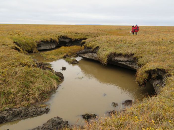 A thermokars pond in Siberia.