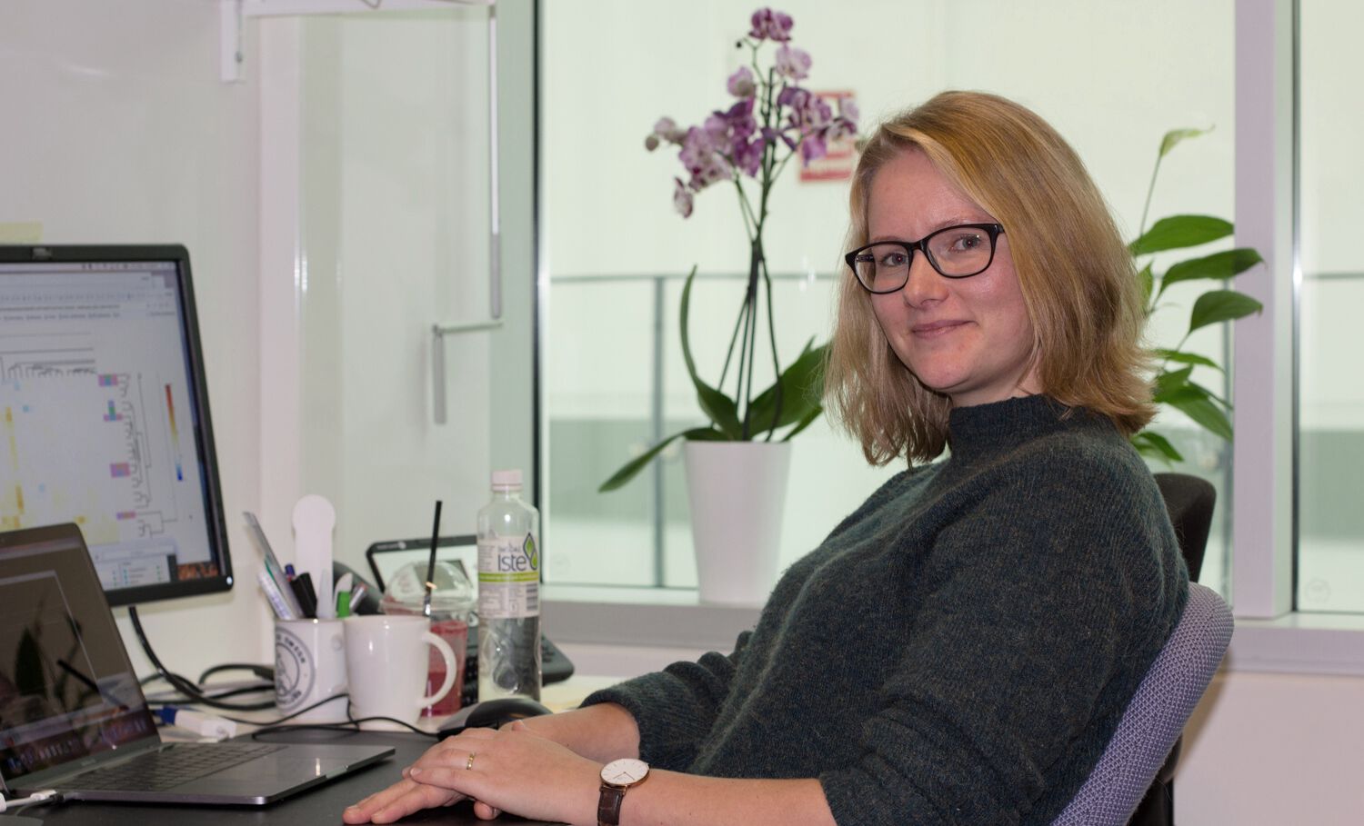 Hanna Helgeland