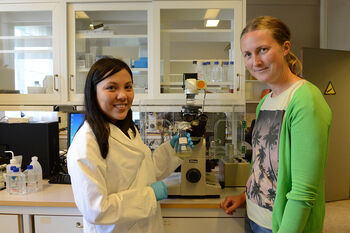 smil ,erme ,forsker ,helsevesen ,laboratorium.