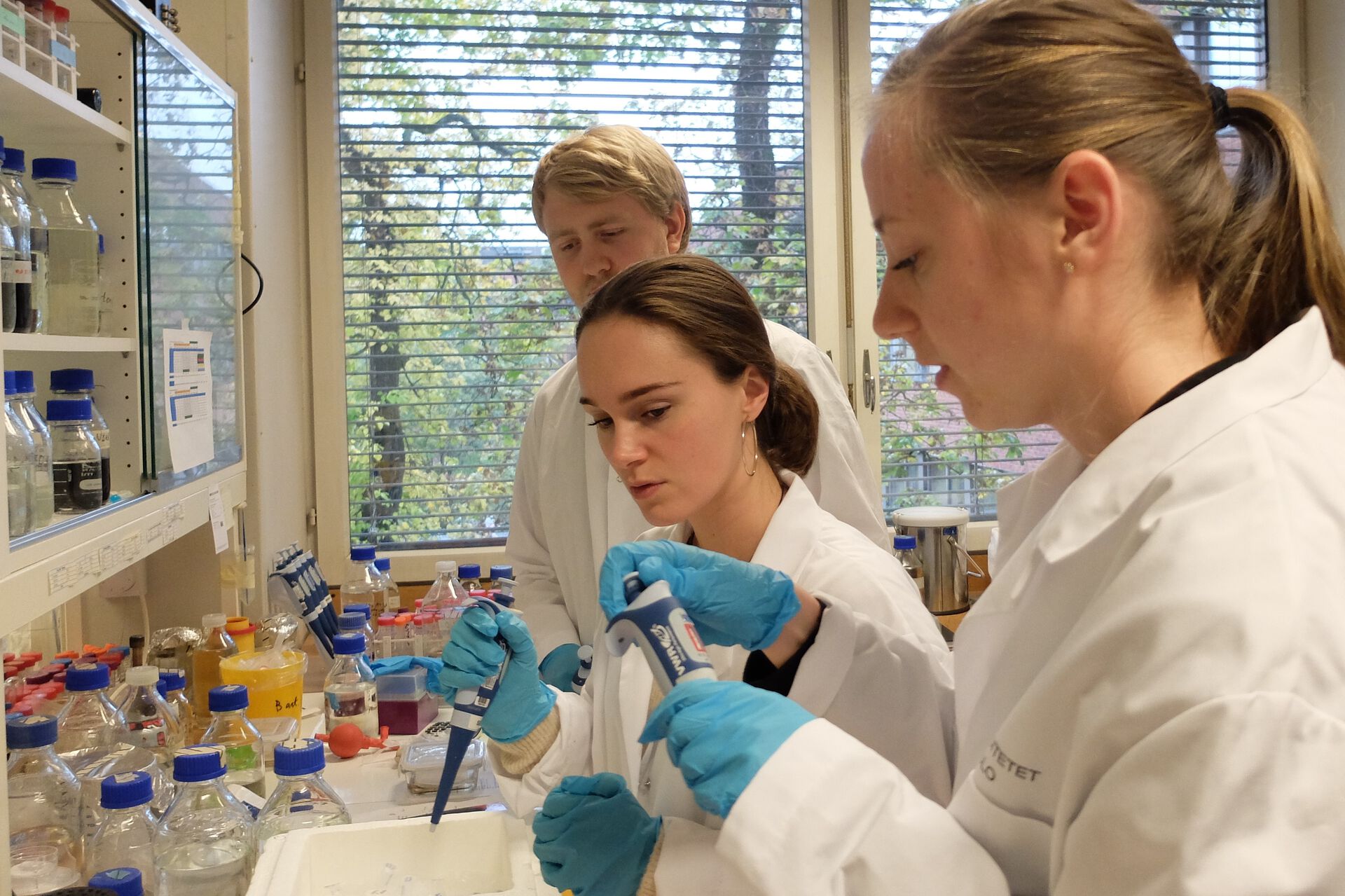 Simen Hermansen, Kristin Klausen og Marthe Ueland er med på årets Igem-lag fra Universitetet i Oslo