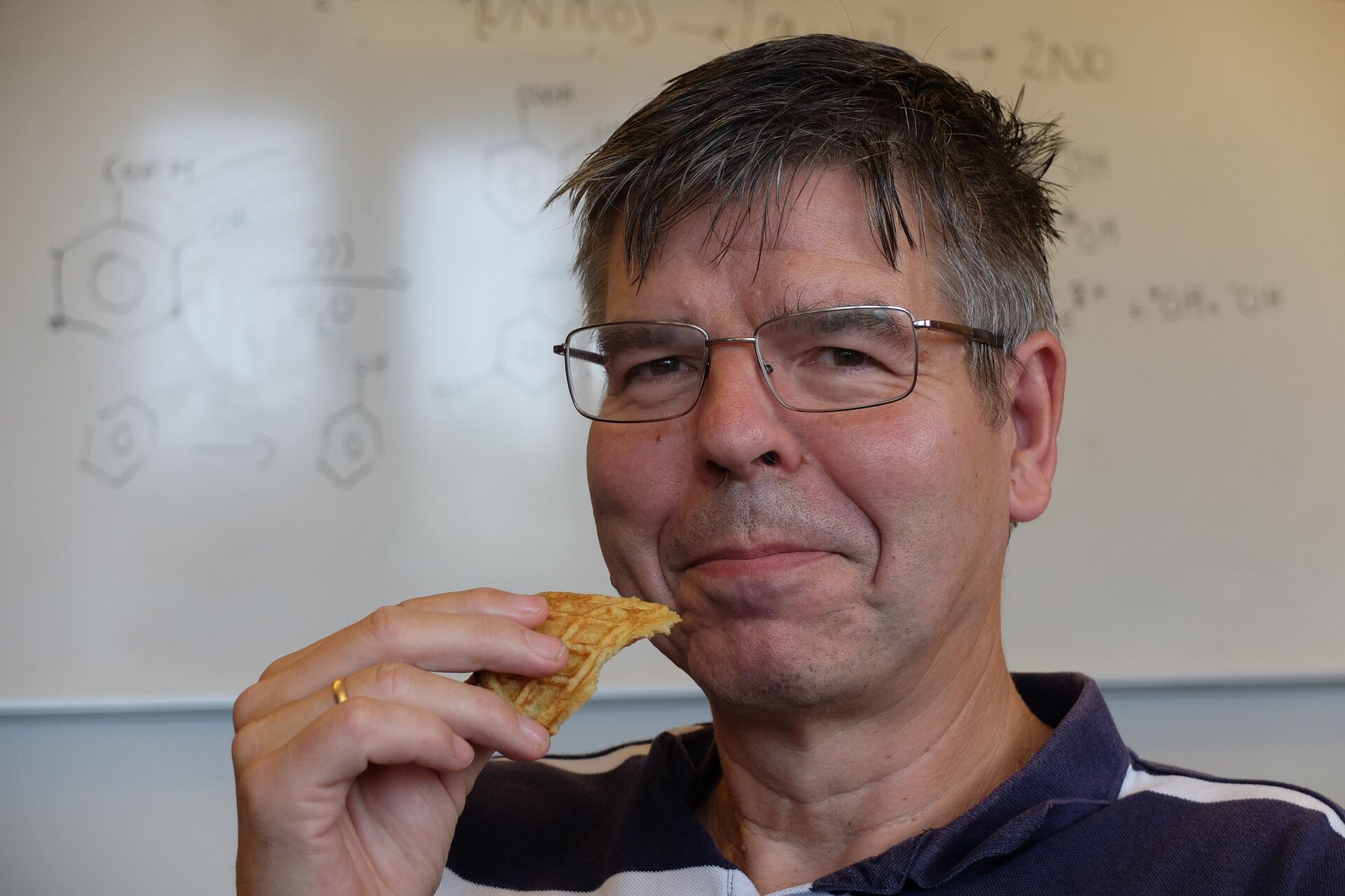 Professor Einar Uggerud