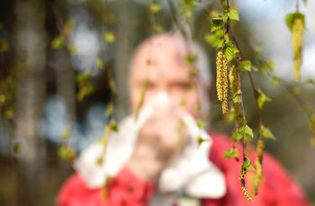 gren ,kvist ,terrestrisk plante ,mennesker i naturen ,gress.