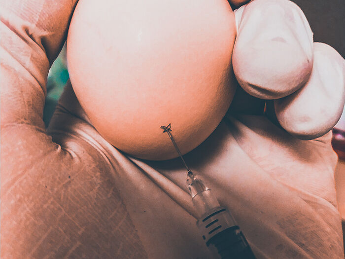 Egg som holdes i en hånd og mottar injeksjon