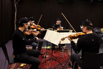 musikk instrument ,fiolin ,fiolinfamilie ,musiker ,klassisk musikk.