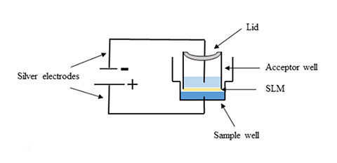Skisse av elektromembranekstraksjon