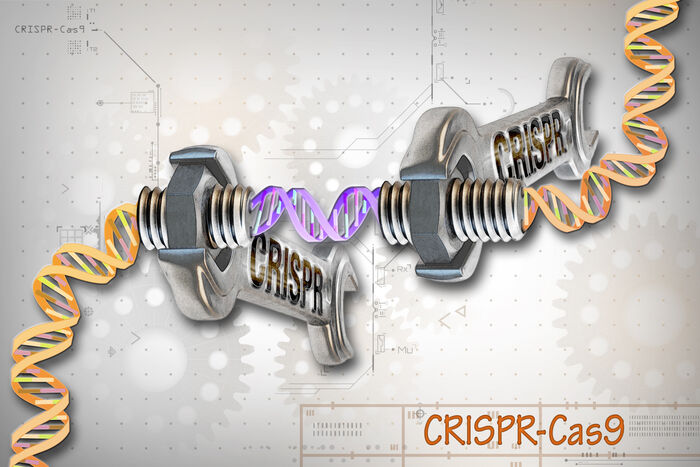 Illustrasjon av CRISPR