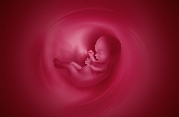 Illustrasjon av foster fortsatt i magen