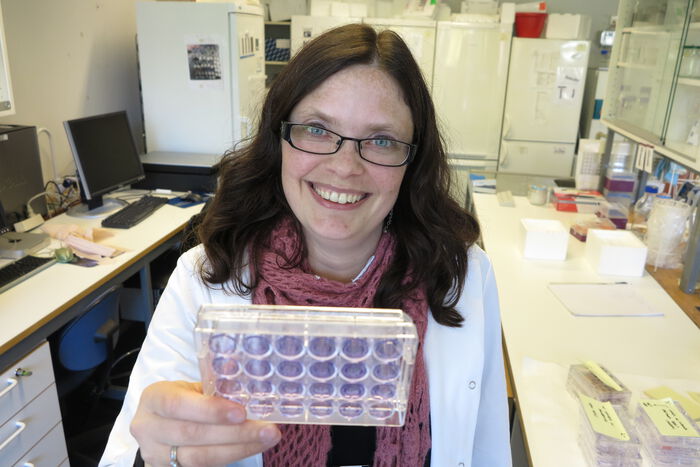 Forsker Ragnhild Eskeland, med plastskåler som brukes til dyrking av stamceller