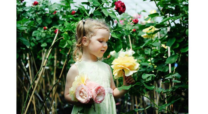 Liten jente lukter på roser i ulike farger.