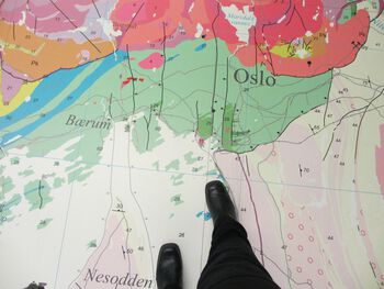 verden ,natur ,kart ,organisme ,linje.