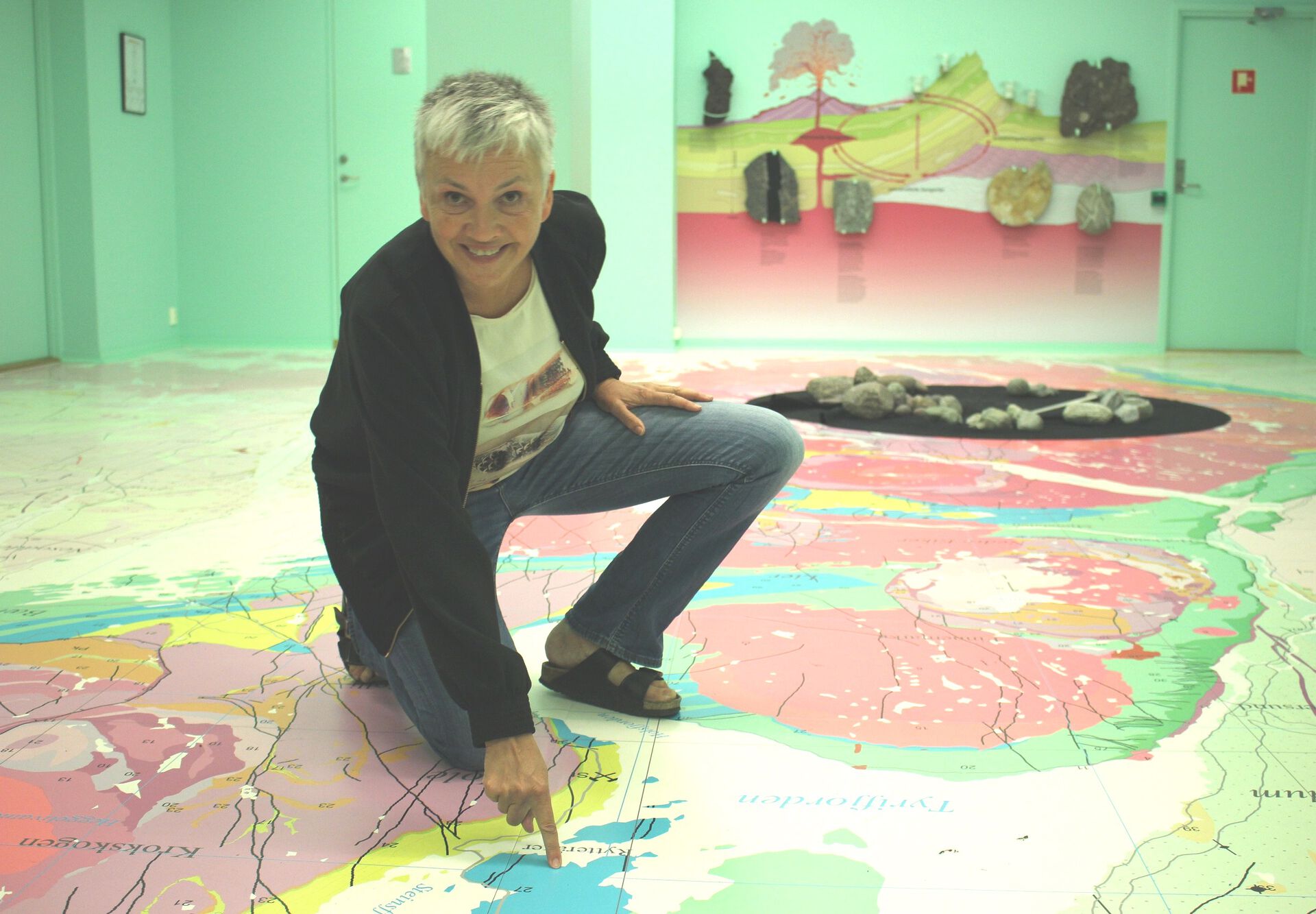 Geo-rommet, NHM, Anne Birkeland