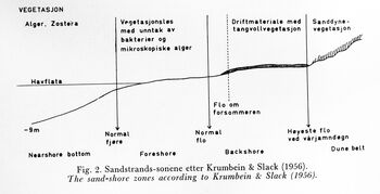 rektangel ,skråningen ,font ,parallell ,mønster.