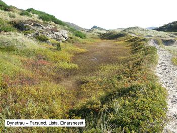 plantesamfunn ,anlegg ,himmel ,skråningen ,naturlig landskap.