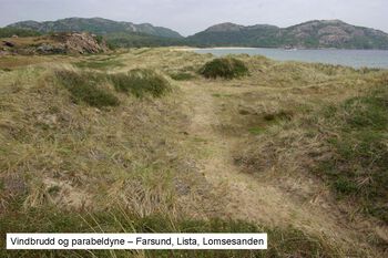 plantesamfunn ,vann ,himmel ,naturlig landskap ,fjell.