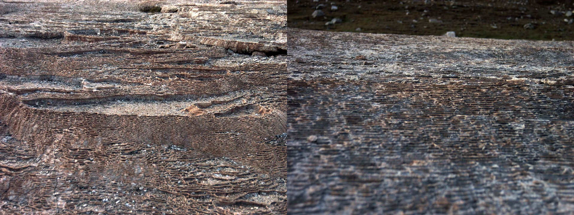 Terrasser ved Sverrefjellet