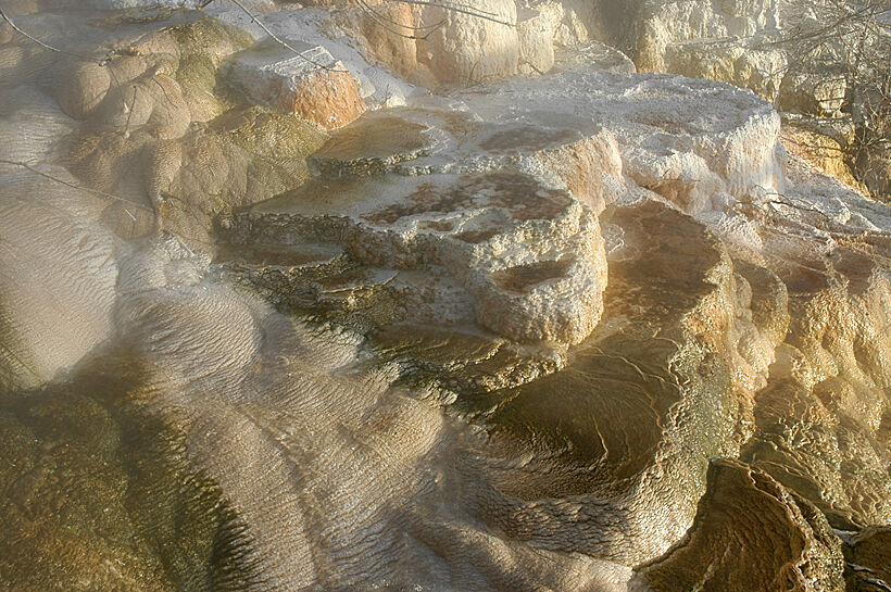 Kalksteinsdammer i Yellowstone