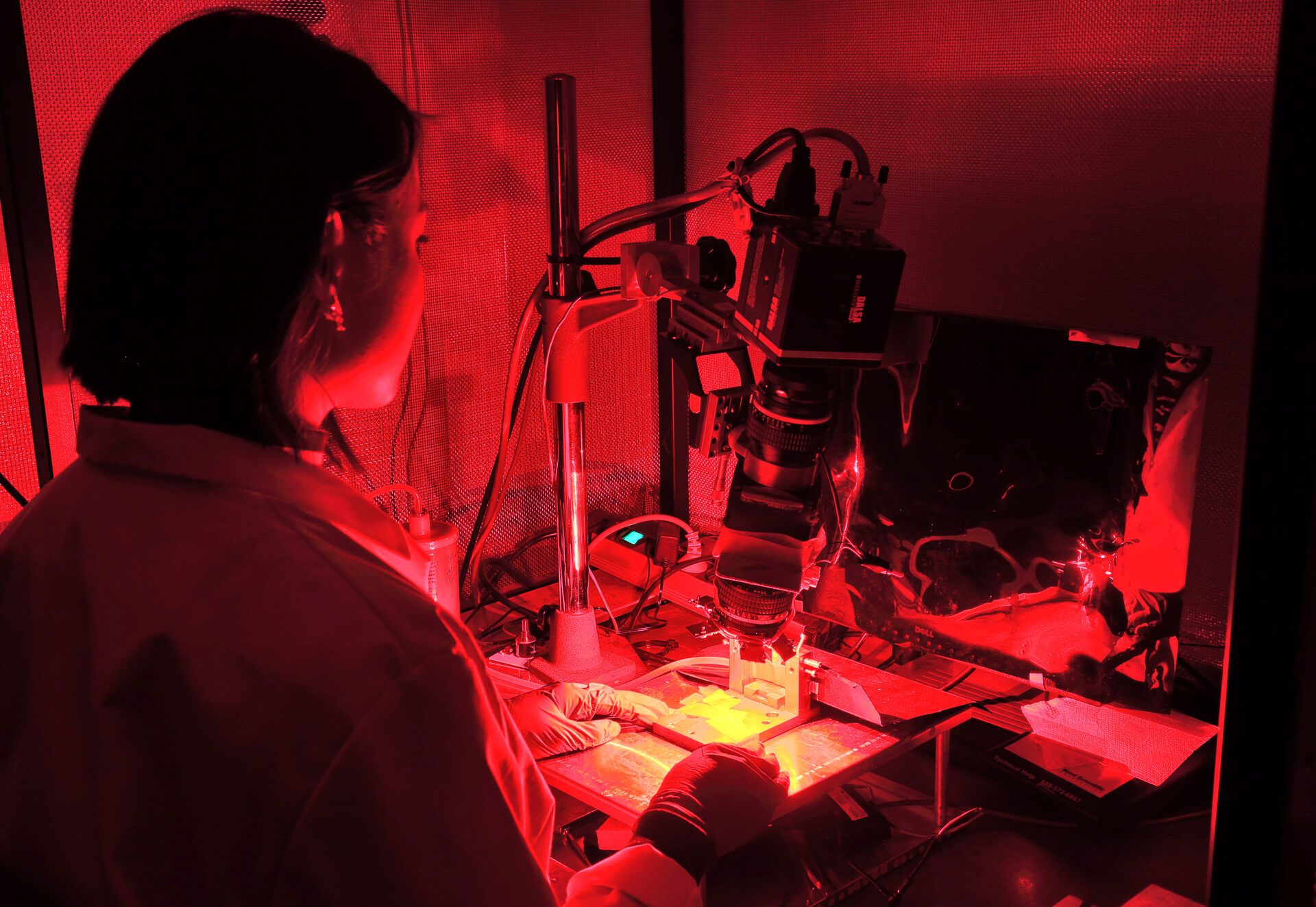 Tovy Dinh i laboratoriet