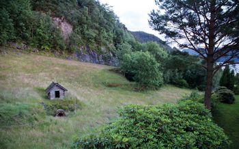 anlegg ,plantesamfunn ,himmel ,naturlig landskap ,grønn.