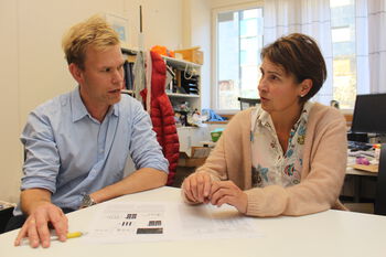 bord ,vindu ,organisme ,pulten ,stol.