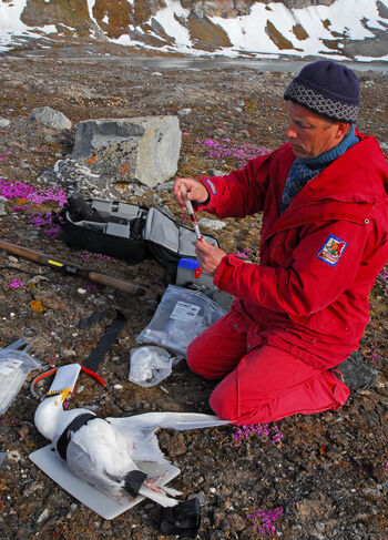 hvit ,geologisk fenomen ,forurensing ,rekreasjon ,fjell.