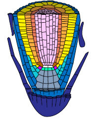 kunst ,triangel ,symmetri ,font ,ball.