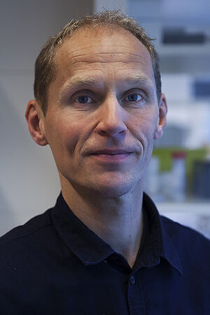 person ,panne ,nese ,menneskekroppen ,kjole skjorte.