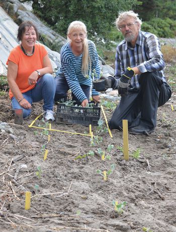 smil ,anlegg ,mennesker i naturen ,blad ,tre.