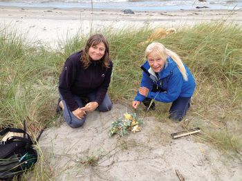 plantesamfunn ,smil ,anlegg ,mennesker i naturen ,gress.