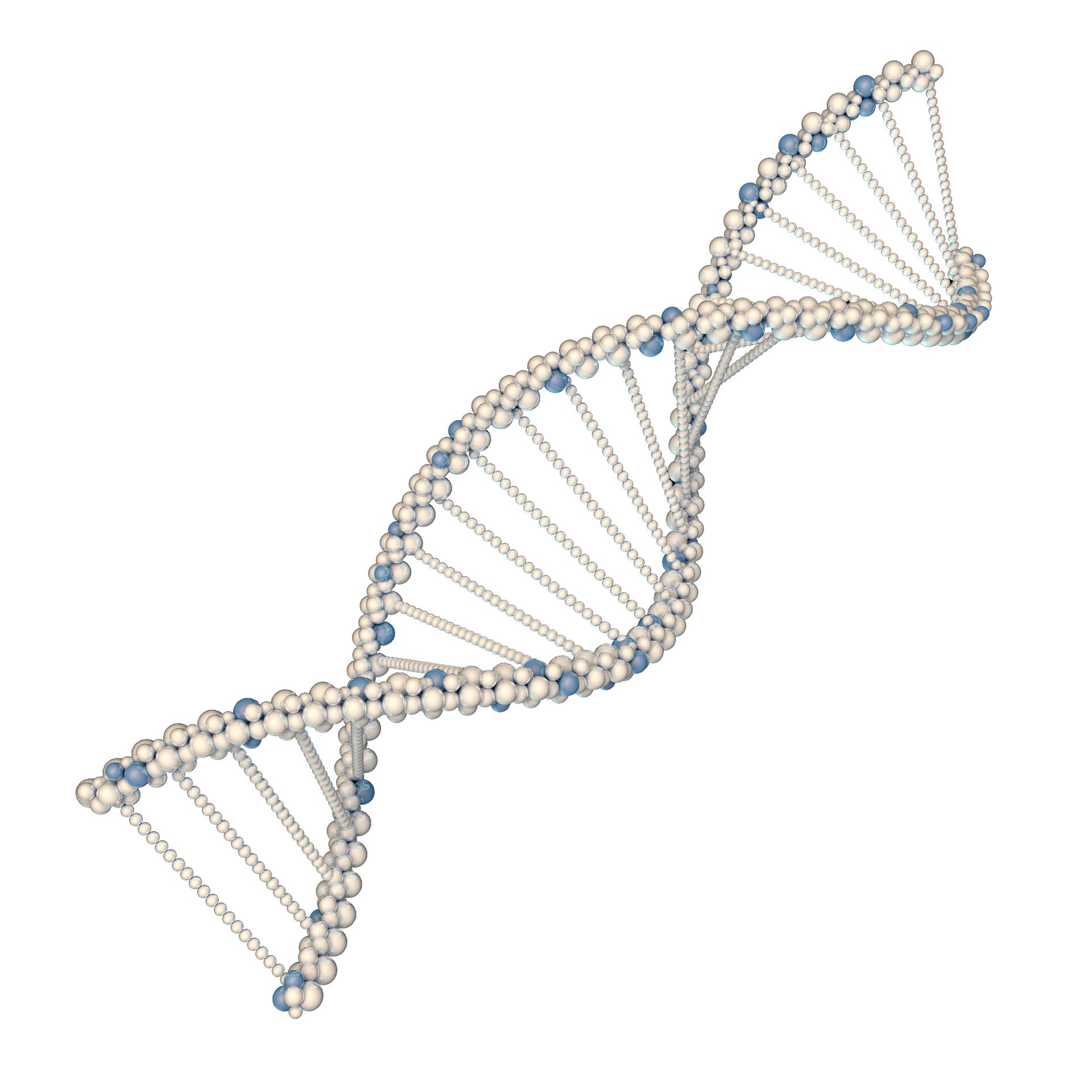 DNA