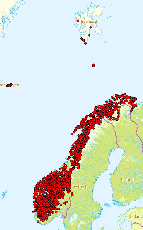 Observasjoner av musøre